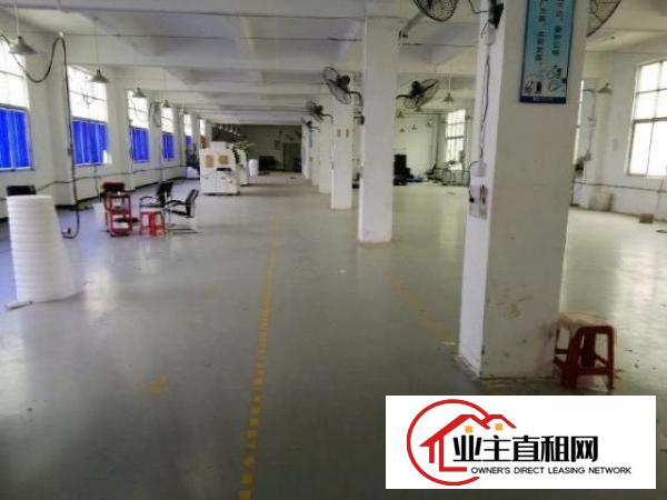  龙岗中心城龙岗区新生独门独院出租厂房1200平米