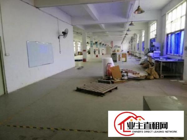  龙岗中心城龙岗区新生独门独院出租厂房1200平米