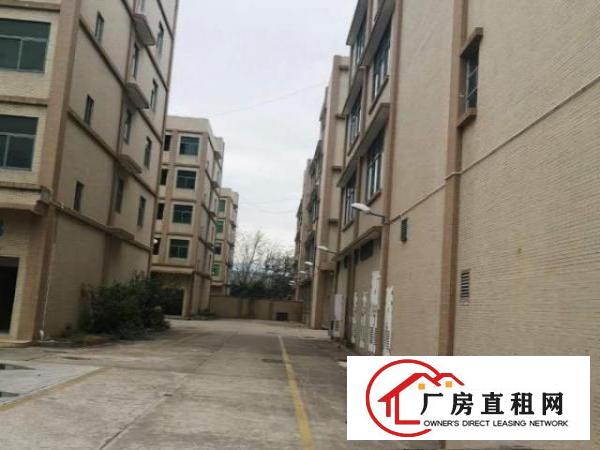  龙岗吉祥独门独院配套齐全靓厂房出租