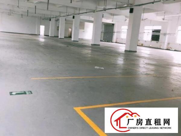  龙岗南联三和工业园厂房100平米起分租