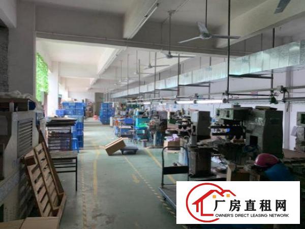  出租龙岗区龙岗中心城附件厂房