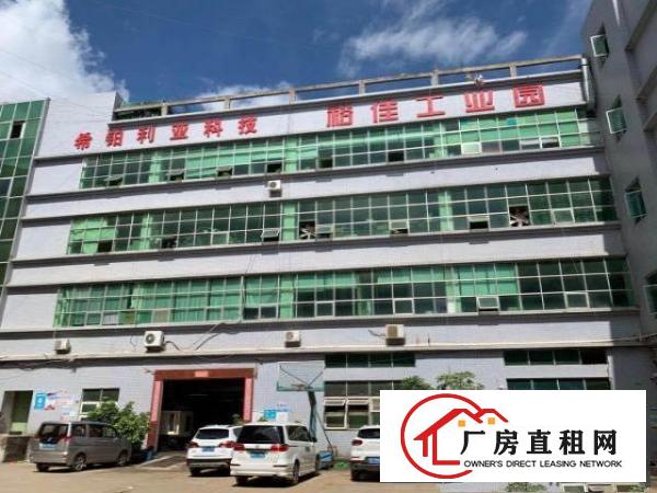  出租龙岗区龙岗中心城附件厂房