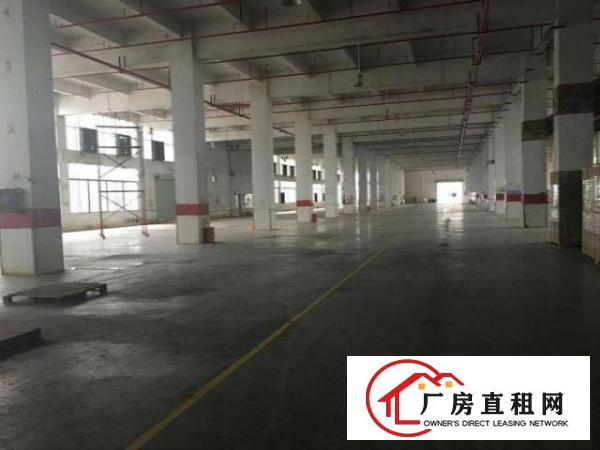  出租龙岗区原房东独院标准工业厂房6670平方（空地大）