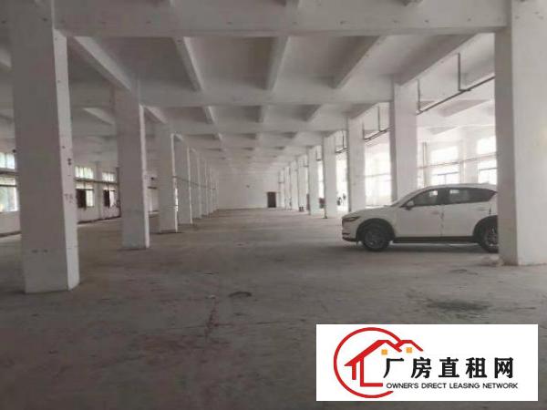  出租龙岗区原房东独院标准工业厂房6670平方（空地大）