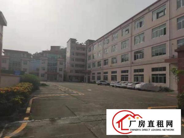  出租龙岗区原房东独院标准工业厂房6670平方（空地大）