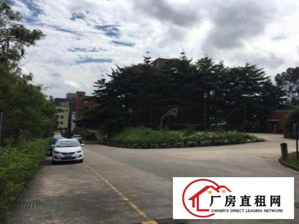  南联爱南路边厂房1-3层6000平出租，可以分