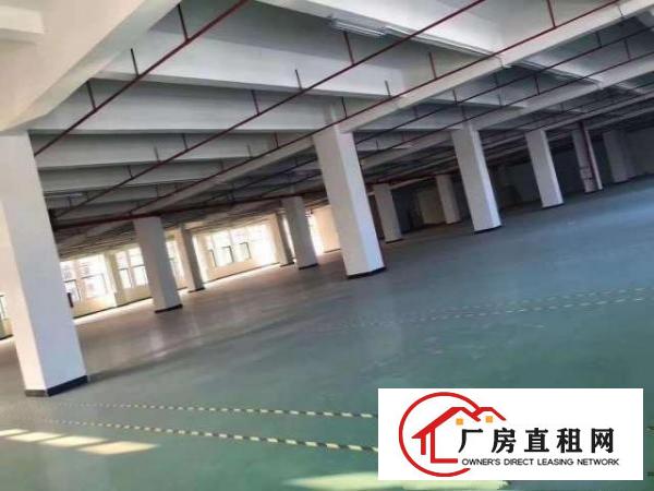  深圳坪山工业厂房1200平，带3吨货梯招租