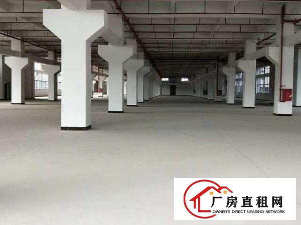  深圳坪山工业厂房1200平，带3吨货梯招租