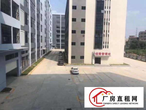 深圳坪山工业厂房1200平，带3吨货梯招租