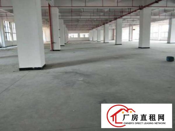  深圳坪山工业厂房1200平，带3吨货梯招租