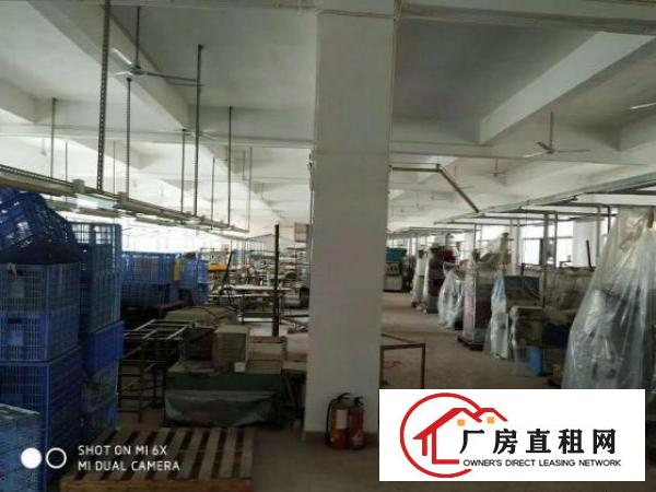  龙岗南联原房东独院共6500平方工业厂房出租