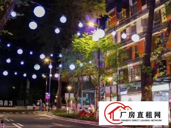  布吉近地铁精装带家私大小面积均有红本注册创业补贴