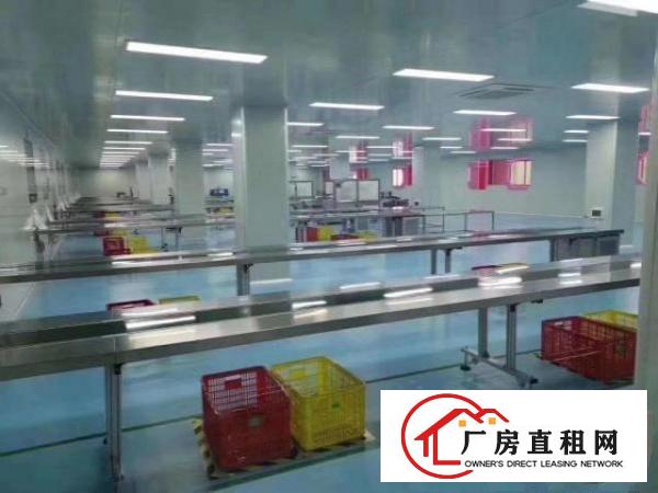  （可做石墨烯）龙岗新出3000平无尘车间工业厂房招租