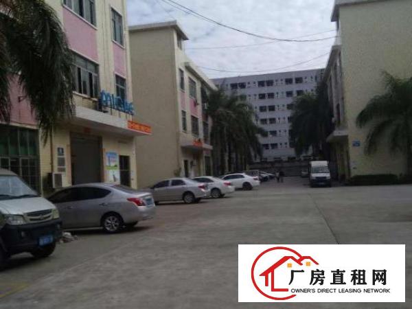  龙岗周边酸洗，氧化，钝化，电解厂房480平起招租