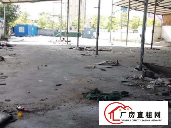  龙岗龙东爱南路排空地➕钢结构2200平出租