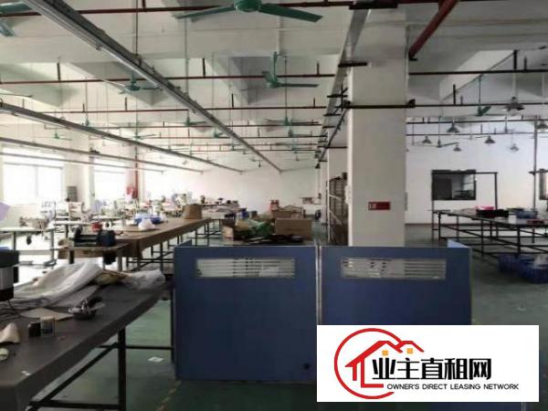  距离龙岗地铁口1.5公里，独院厂房出租，仅需20元/平