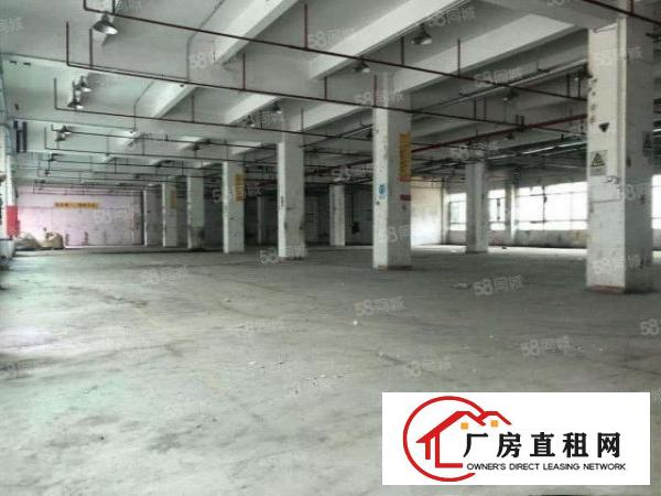  公明新开楼盘红本花园式厂房~中央空调~可整租~可分租