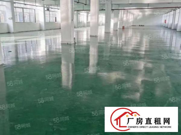  公明新开楼盘红本花园式厂房~中央空调~可整租~可分租