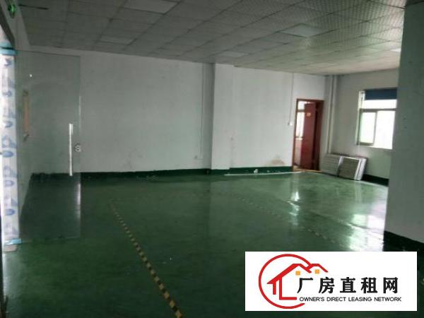  龙岗中心城新出原房东标准厂房520平方带装修出租/可分租