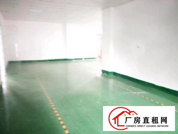  龙岗中心城新出原房东标准厂房520平方带装修出租/可分租