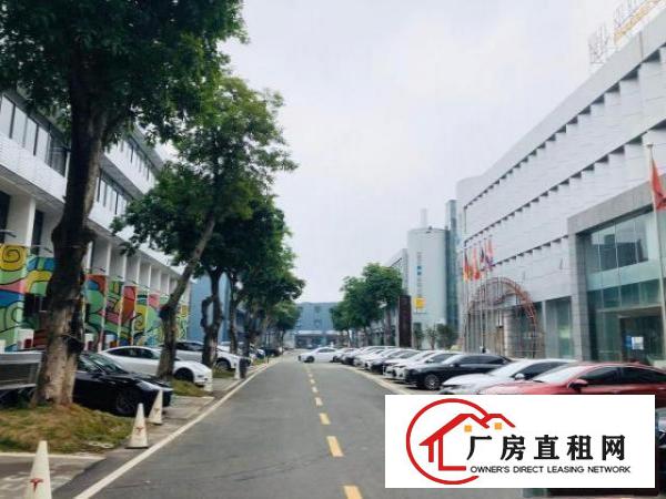  布吉租金1380元至4000元不等（1-10人间）精装办公室