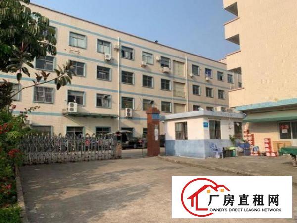  业主红本独院厂房整租