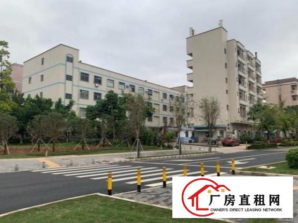  业主红本独院厂房整租