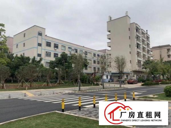  宝龙工业园红本厂房7000平精装出租停车位充足