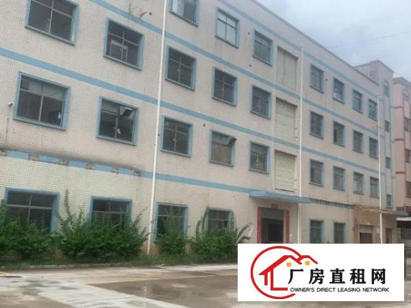  宝龙工业园红本厂房7000平精装出租停车位充足
