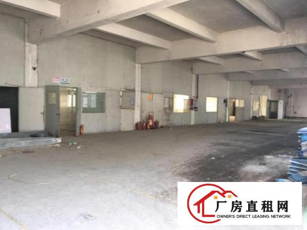  龙岗嶂背原房东独院整层三楼960平精装修无转让费招租