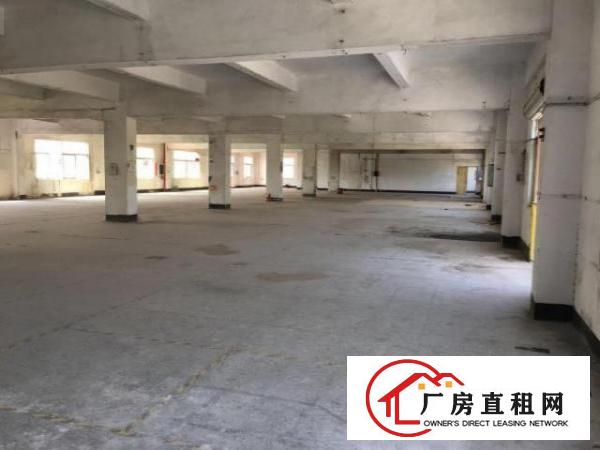  龙岗嶂背原房东独院整层三楼960平精装修无转让费招租