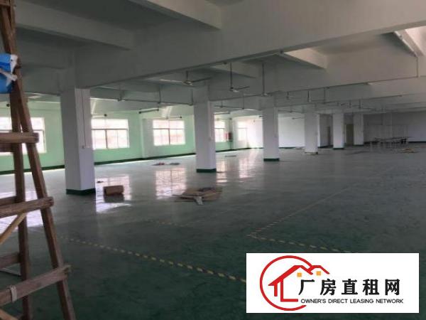  龙岗嶂背原房东独院整层三楼960平精装修无转让费招租