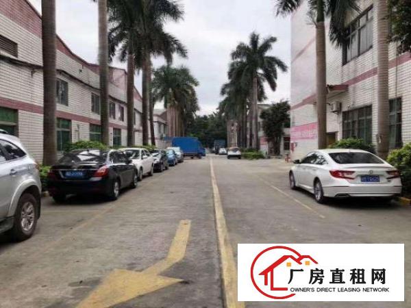  出租龙岗区南联工业区原房东二楼300平方带装修