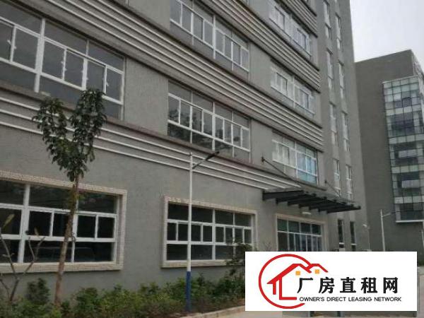  宝龙比亚迪1楼5000平方可分租，精装修形象好
