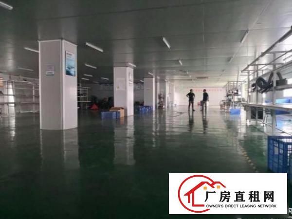  出租龙岗新出800平精装修厂房租16带电梯(可分租)