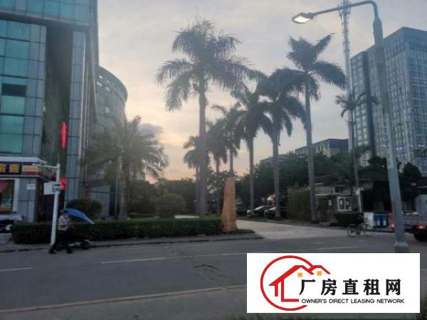  龙岗银龙工业科技城招租