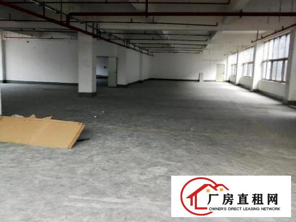  龙岗银龙工业科技城招租
