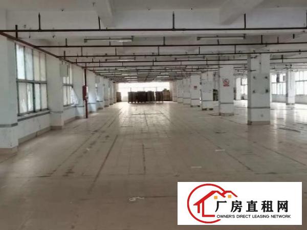  龙岗银龙工业科技城招租