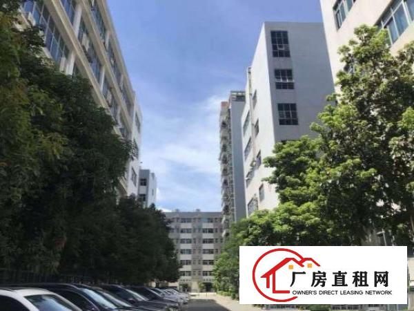  出租龙岗龙岗中心城宝龙工业区独院，独栋厂房出租，大小分租