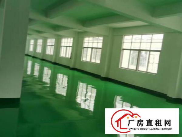  中心城原房东红本厂房9000平实际面积出租