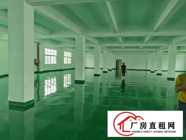  中心城原房东红本厂房9000平实际面积出租
