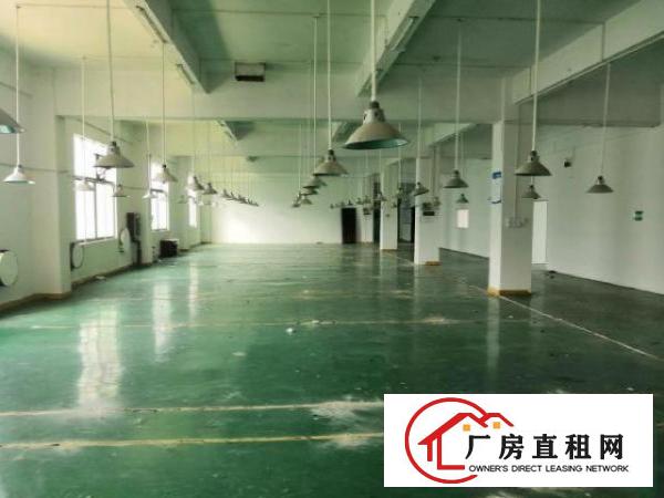  龙岗中心城红本厂房1280平米