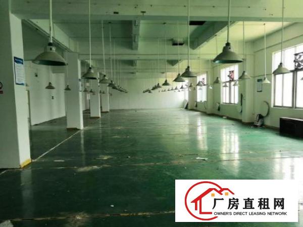  龙岗中心城红本厂房1280平米