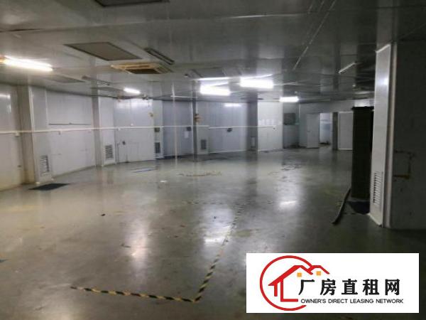  龙岗龙岗爱联原房东厂房1200平