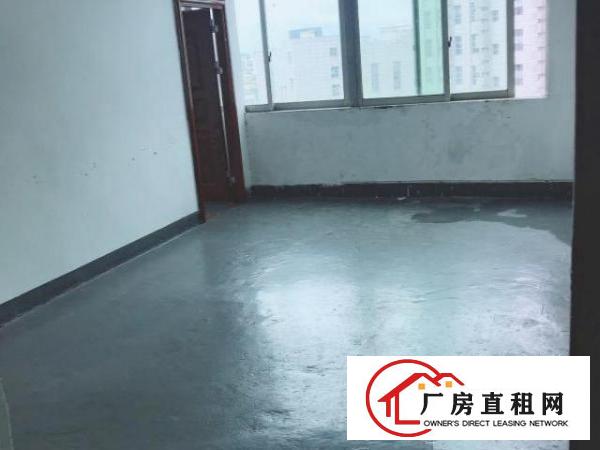  龙岗新出爱联地铁口工业风厂房300 280平直租