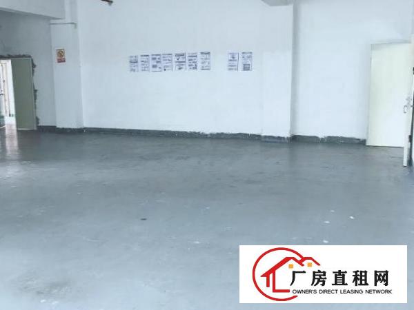  龙岗新出爱联地铁口工业风厂房300 280平直租