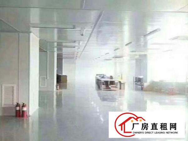  深圳现成无尘车间1800平招租免转让费享受政府房租补贴