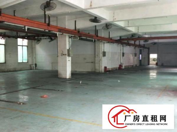  (一楼)龙岗同乐1200平方厂房出租！！！可分租