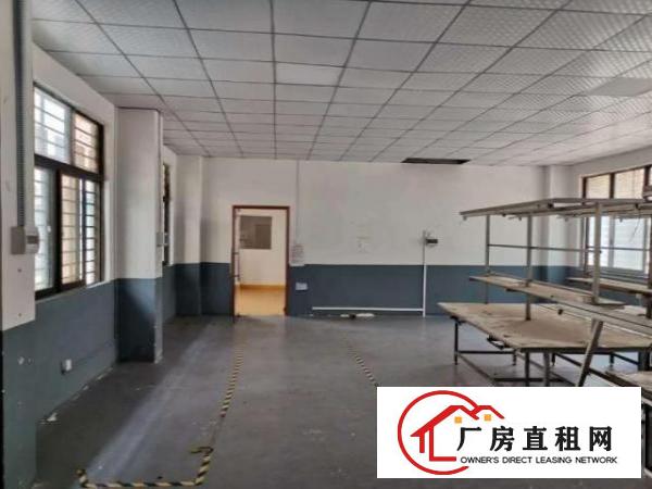  龙岗小独院一楼320平厂房出租精装修水电齐全