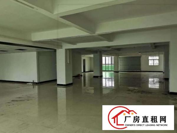  龙岗全新500平厂房出租豪华装修水电齐全带电梯